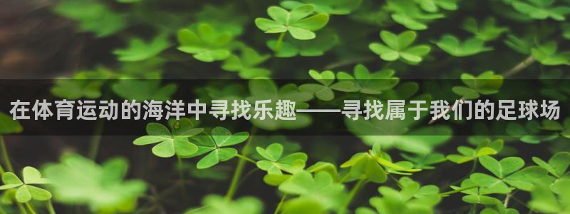 xc体育app官方网站