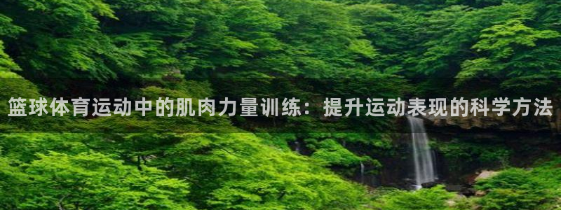 xc体育app官方网站：篮球体育运动中的肌肉力量训练：提升运动表现的科学方法