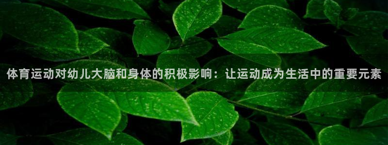 xc体育：体育运动对幼儿大脑和身体的积极影响：让运动成为生活中的重要元素