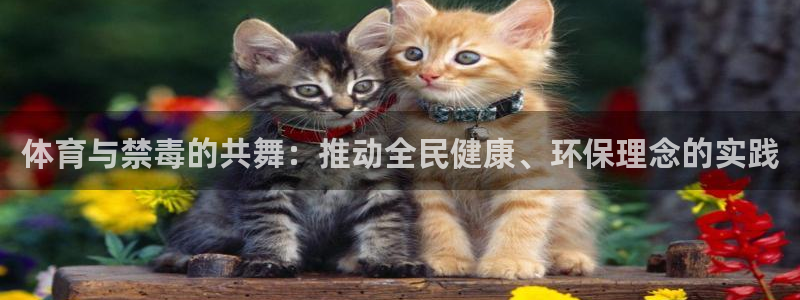 xc体育app官方网站：体育与禁毒的共舞：推动全民健康、环保理念的实践