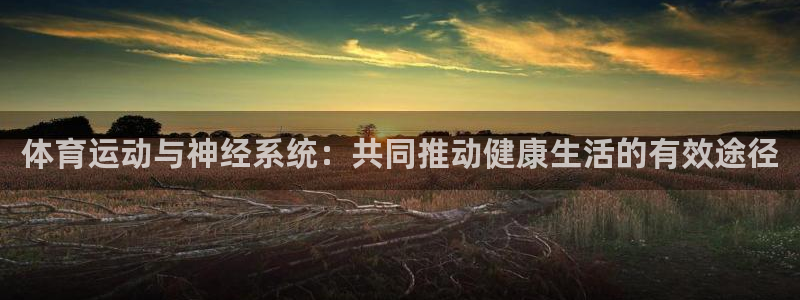 xc体育：体育运动与神经系统：共同推动健康生活的有效途径