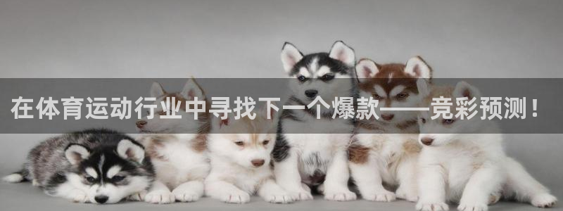 xc体育app官方网站：在体育运动行业中寻找下一个爆款——竞彩预测！