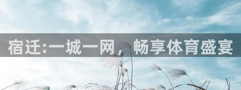 xc体育app官方网站：宿迁:一城一网，畅享体育盛宴