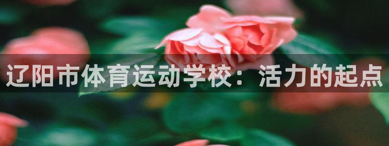 xc体育app官方网站：辽阳市体育运动学校：活力的起点