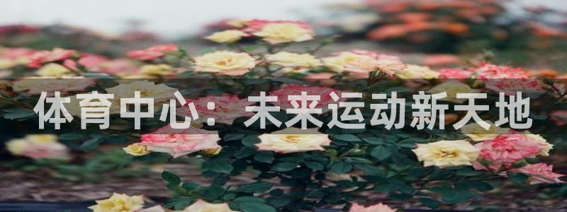 xc体育app官方网站：体育中心：未来运动新天地