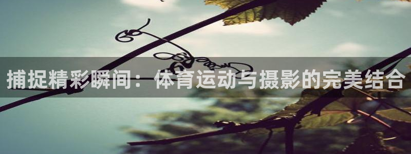 xc体育app官方网站：捕捉精彩瞬间：体育运动与摄影的完美结合